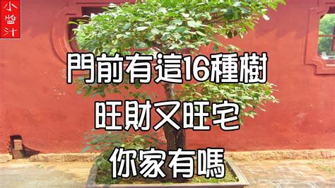 門前種蓮花|門前花卉風水寓意